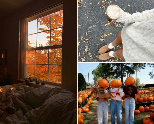 FALLING FOR THE BASICS• autumn must haves cover photo collage
