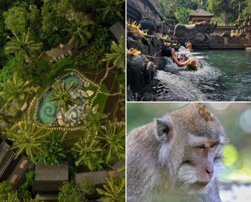 Best Vacation Ever cover photo collage