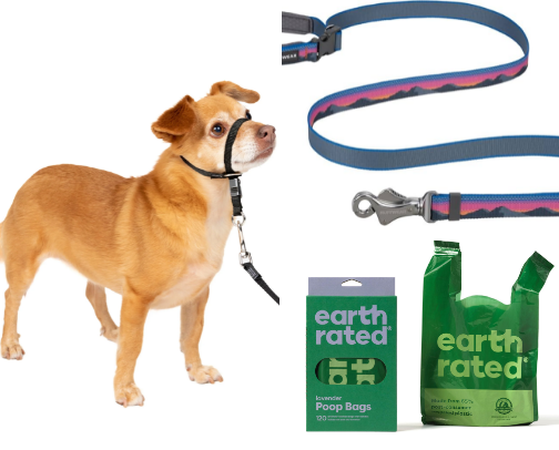 Dog Walking Essentials cover photo collage