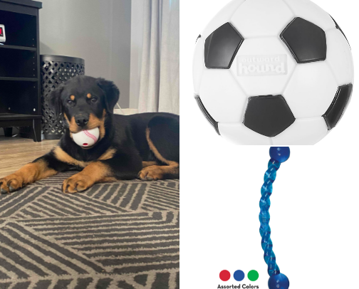 My Rottweilers favourite things cover photo collage