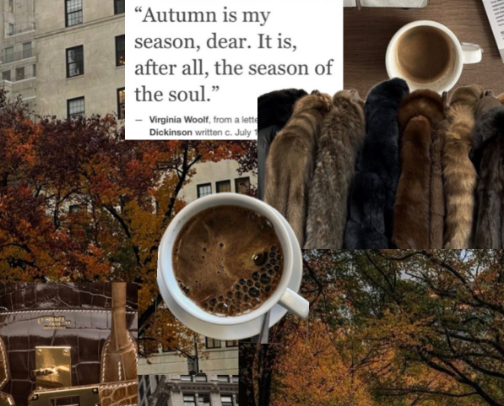A Guide: Body care the chic woman is wearing this Fall cover photo collage