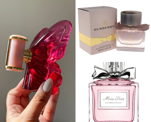 My Favourite Perfume Collection |2026 cover photo collage
