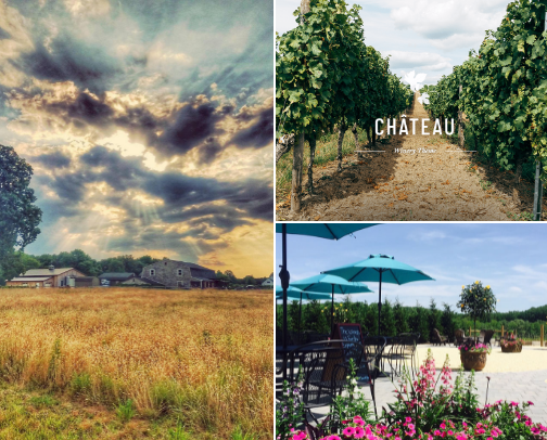 Drink Up! Adult Beverages -Small Business Saturday cover photo collage