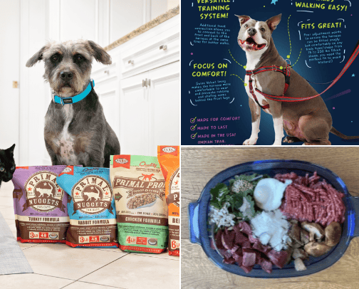 Nutrition for Healthy Pet Living cover photo collage