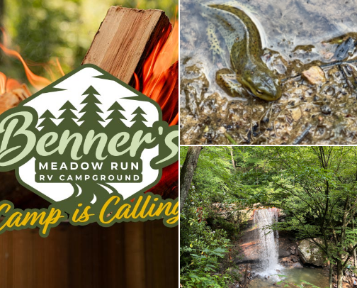 Awsome Camping Experiences cover photo collage