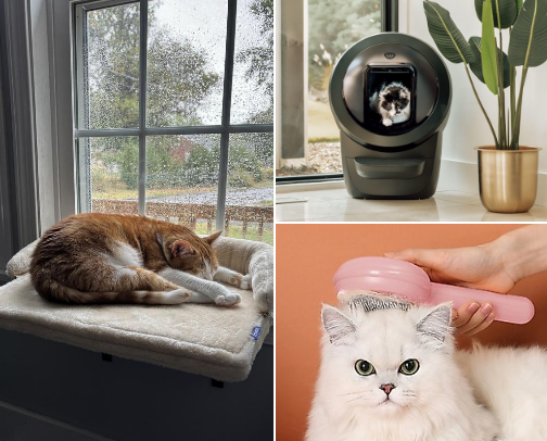BEST Cat Products Out Right Now! cover photo collage