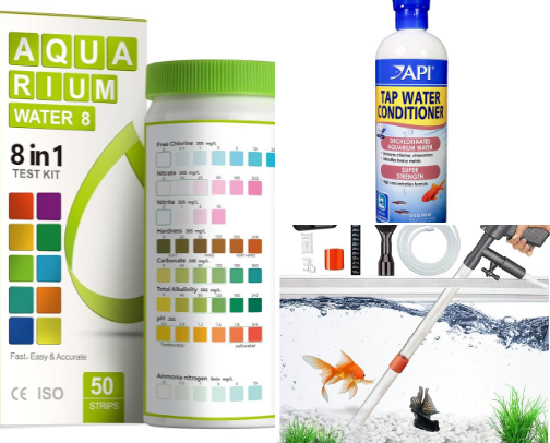 Everything for my fish pets cover photo collage