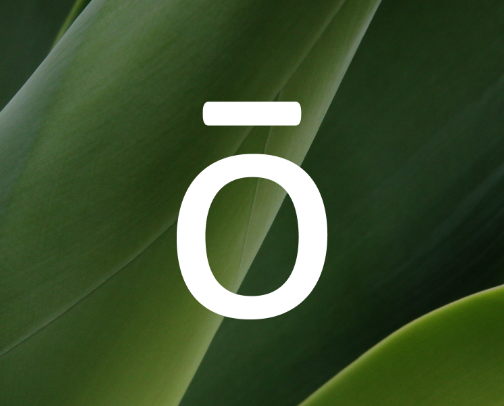 Essential Oils cover photo collage