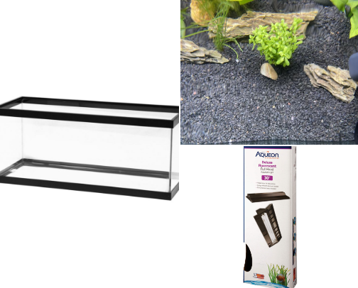 Dream Aquarium Setup: 20G Freshwater Paradise cover photo collage