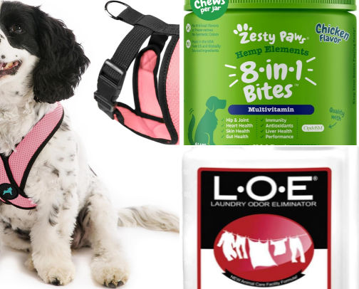 Items for the pups in your life🐕🐾🤎 cover photo collage