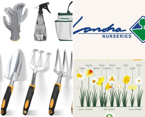 Spring and Sunshine cover photo collage