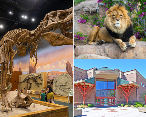 Trip to Utah, must dos/sees cover photo collage