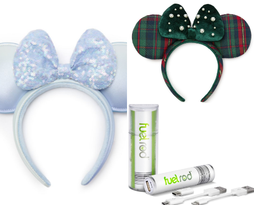 surviving christmas at disneyland cover photo collage