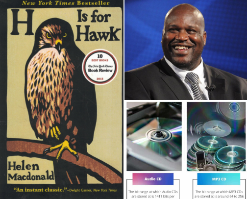 H Is for Hawk inspired reading and birding companions cover photo collage