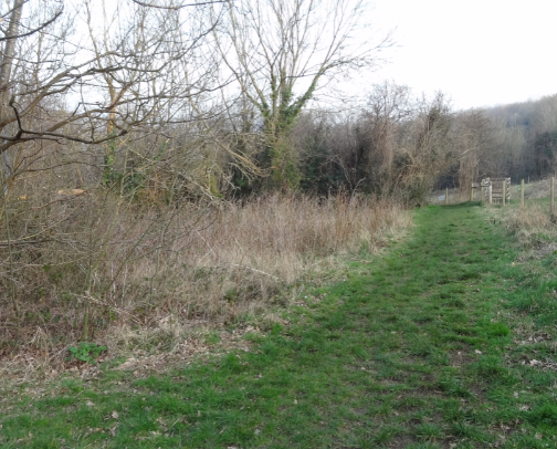 My top Purley recs cover photo collage