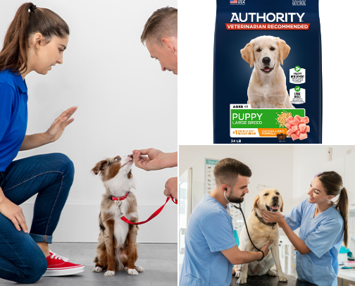 Best Gifts for a New Puppy Shower or Dog Adoption Party cover photo collage