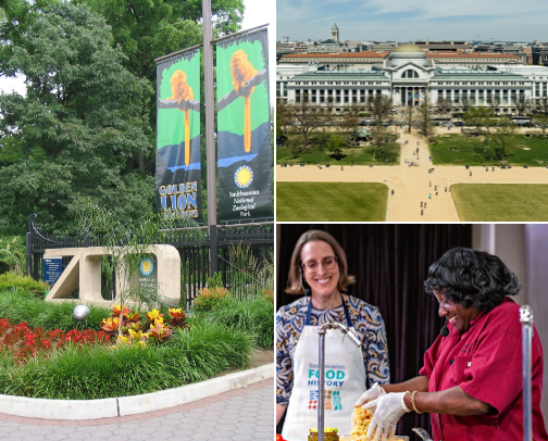Washington DC must! All FREE cover photo collage