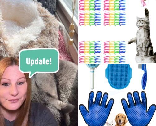 Cat lovers cover photo collage