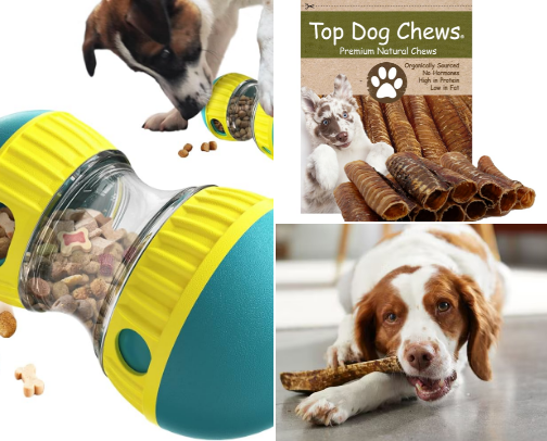 Pawfect Companions 🐾 Top Products for cats & dogs cover photo collage