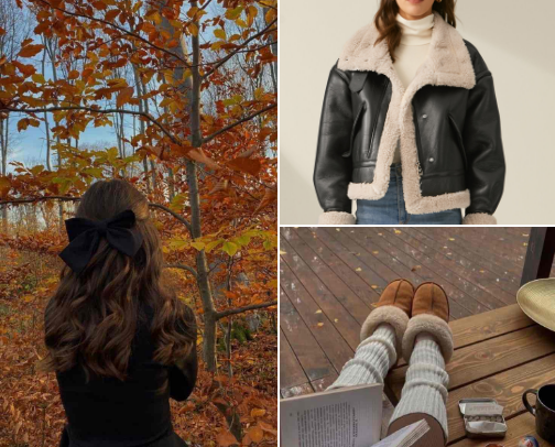 fall girl outfit diary🍂(daytime edition) cover photo collage