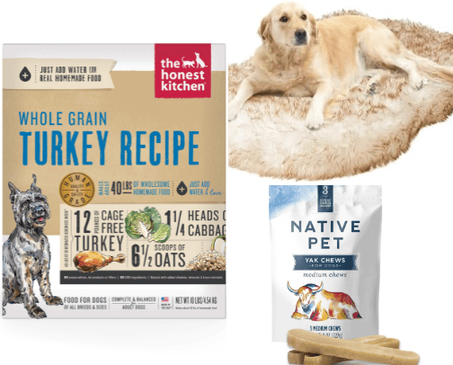 My Favorite Dog Products cover photo collage