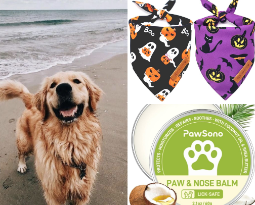 Dog Mom Essentials cover photo collage