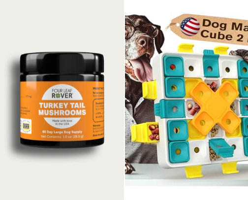 Dog Picks: By my Picky Poodle cover photo collage