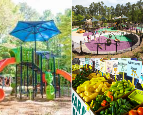 Family Friendly Places in Raleigh, NC for Kids Under 10. cover photo collage