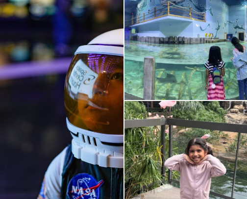Fun Family Activities Around Houston cover photo collage