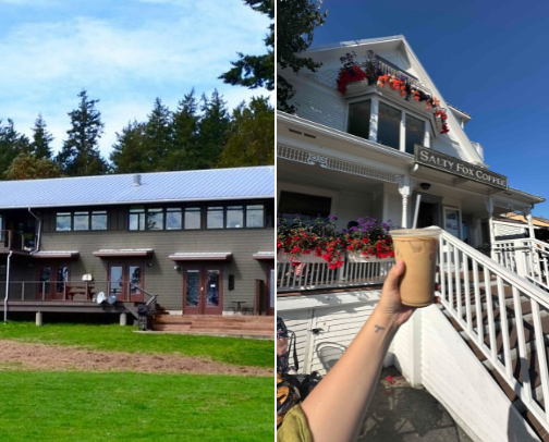 Visiting the San Juan Islands? I got you! 🐋 cover photo collage