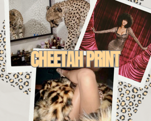 Weekly fun fact: Cheetahs can’t roar like other big cats! 🐆 cover photo collage