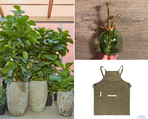 The Botanist’s Atelier🌱 cover photo collage