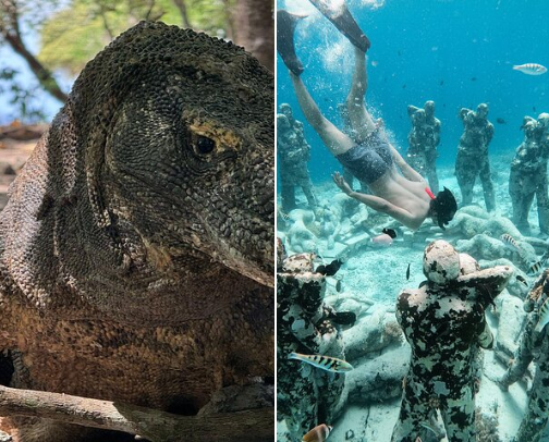 Best Experiences in Indonesia cover photo collage