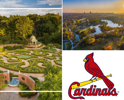 Summer in the STL cover photo collage