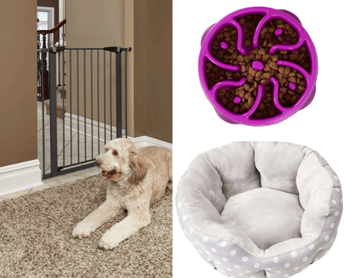 Pet supplies🐶 cover photo collage