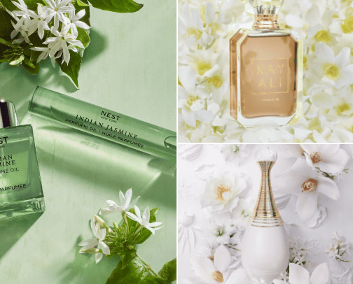 ✨Fragrance✨ cover photo collage