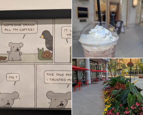 Best Iced Lattes in Chicago cover photo collage