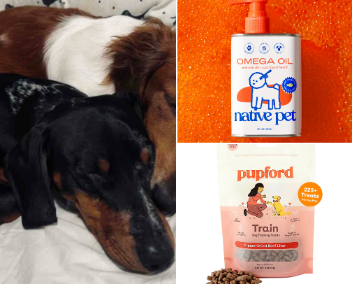Wiener Dog Essentials🌭🐾 cover photo collage