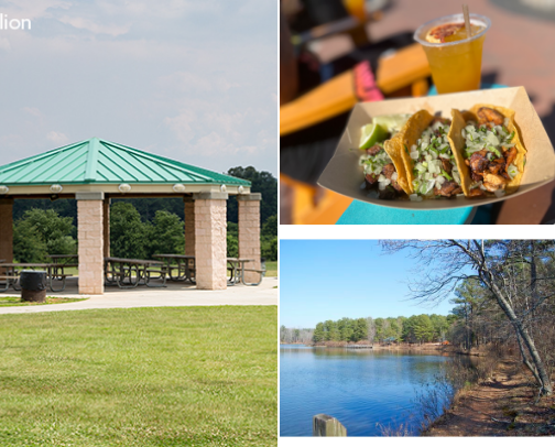 Georgia Fun 😎 cover photo collage