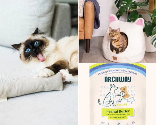 Eco Swamps For Your Furry Friend cover photo collage