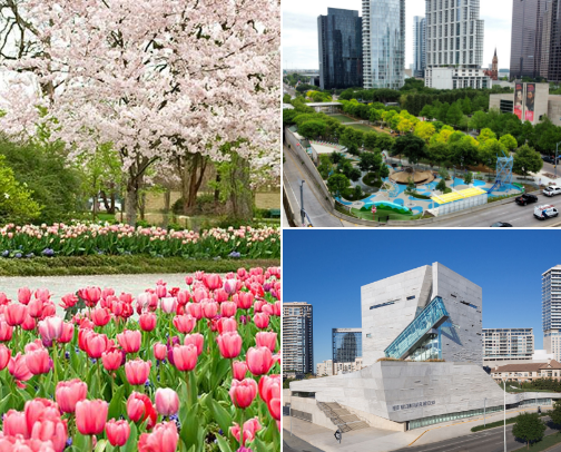 Things to do in Dallas cover photo collage