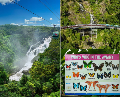 My go to day Trips from Cairns 🔆 cover photo collage
