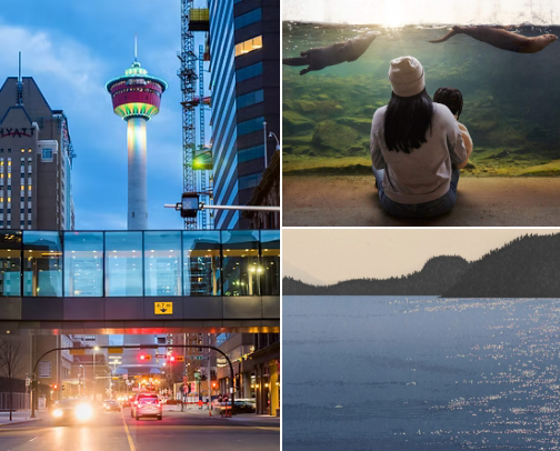 Calgary travel tips from an ex resident cover photo collage