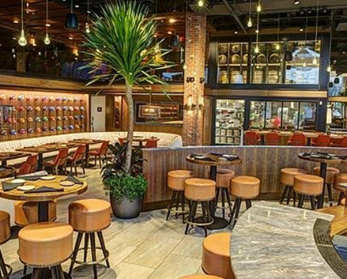 My top recs cover photo collage