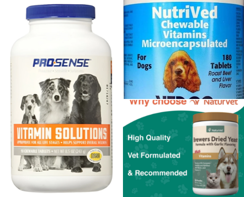 Vitamin for dog cover photo collage