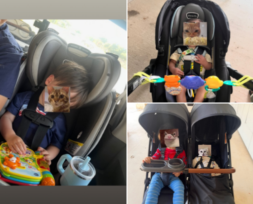 My Favorite Travel Seats cover photo collage