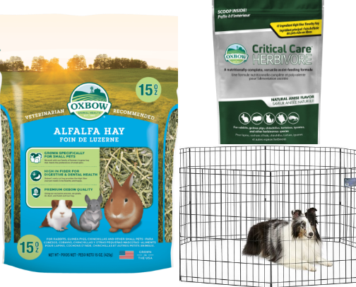 Bunny must have products🐰 cover photo collage