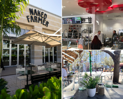 Seed oil free restaurants in Sarasota cover photo collage