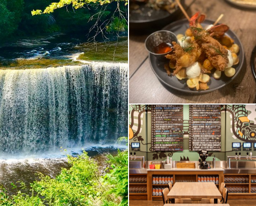 Unique interests in Metro Detroit/Michigan cover photo collage