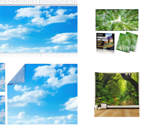 SEL Classroom & Office Decor cover photo collage
